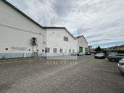 Local d'activités à louer Lyon 8 Proche A43 et... Local d'activités à louer Lyon 8 Proche A43 et...