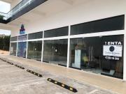 Local de 50 m? en renta y venta sobre Av. Prolongaci?n...