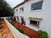 Local, Denia