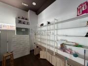 Local, Donostia San Sebastián