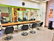 Local, Donostia San Sebastián