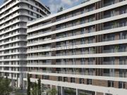 Local, Donostia San Sebastián