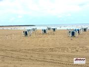 Local, Donostia San Sebastián