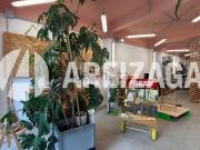 Local, Donostia San Sebastián