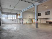 Local, Donostia San Sebastián