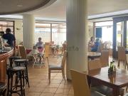 Local, Eivissa