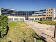 Local, El Prat de Llobregat