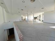 Local, El Prat de Llobregat