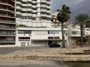 Local, El Terreno, Palma de Mallorca