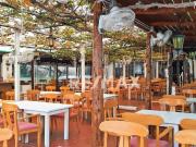 Local en alquiler en Torrevieja Alicante