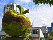 Local En Arriendo En Medellin En El Poblado A206989