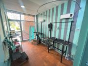 local en arriendo/venta en los colores. Cod A511856