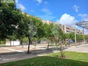 LOCAL EN BRUTO EN VENTA EN RONDA SUR