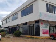 Local en Ciudad Caucel