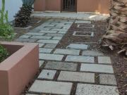 Local en Col Constitucion