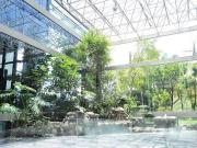 Local en Corporativo en Renta, Jardines del Pedegral,...