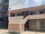 Local en Flamboyanes