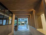 Local en Lomas de Chapultepec I Secci?n