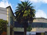 Local en Reforma Social Lomas de San Isidro