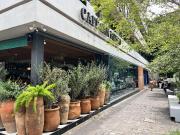 Local en renta Av.Chapultepec Local en renta Av.Chapultepec