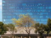 Local en renta el la Col. El Triunfo