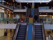 LOCAL EN RENTA EN COLOSSUS