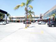 Local en renta en Lomas de San Pedrito Sección Portales,...