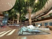 LOCAL EN RENTA EN PLANTA BAJA EN MÉRIDA YUCATÁN SOBRE...