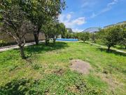 LOCAL EN RENTA EN PUEBLO NUEVO