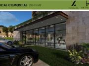 LOCAL EN RENTA EN RESIDENCIAL EL FRENO, TORREON, COAHUILA LOCAL EN RENTA EN RESIDENCIAL EL FRENO, TORREON, COAHUILA