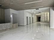 Local en Renta en San Ángel IDEAL PARA RESTAURANTE BAR