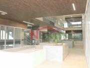 LOCAL EN RENTA EN VADO PRIME CENTER