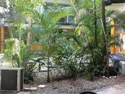 Local en Renta Plaza Antigua