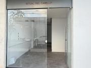 Local en renta plaza Corner