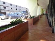 Local en renta sobre Blvd. Insurgentes!