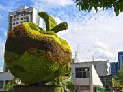 Local En Venta En Medellin En El Poblado V221695