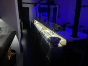 Local, Espai Tolra Els Pedrissos Can Carner, Castellar...