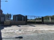 Local, Ferrol