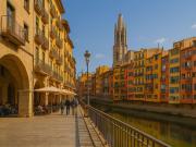 Local, Girona