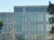 Local Greenville Polo & Resort