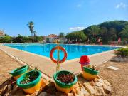 Local, Guardamar del Segura