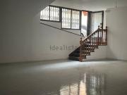 Local, Icod de los Vinos