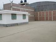 LOCAL INDUSTRIAL en ALQUILER en CHILCA
