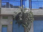 LOCAL INDUSTRIAL O COMERCIAL