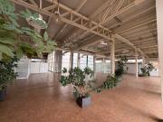 LOCAL INTERIOR 1,515m2 EN SEXTO PISO COL.INSURGENTES...