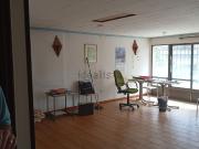 Local, La Arena, Gijón