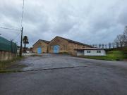 Local, La Calzada, Gijón