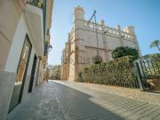 Local, La Llotja, Palma de Mallorca