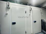 Local, La Llotja, Palma de Mallorca