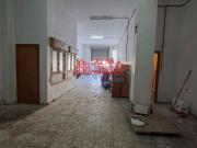 Local, Las Fuentes Los Cipreses, Aspe